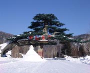 牡丹江天气预报40天